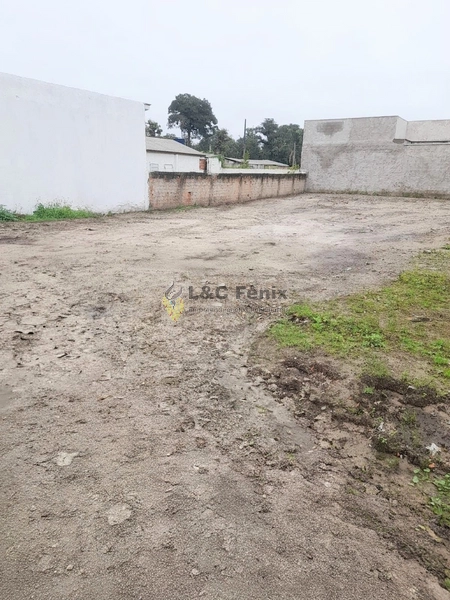 TERRENO MATINHOS PR: 6ª foto da galeria de imagens do imóvel