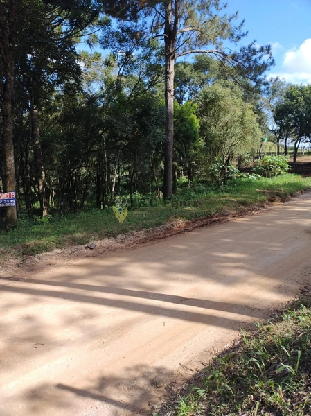 Terreno para Venda em Colombo / PR no bairro Das Graças: 40ª foto da galeria de imagens do imóvel