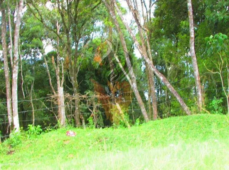 Terreno para Venda em Colombo / PR no bairro Das Graças: 17ª foto da galeria de imagens do imóvel