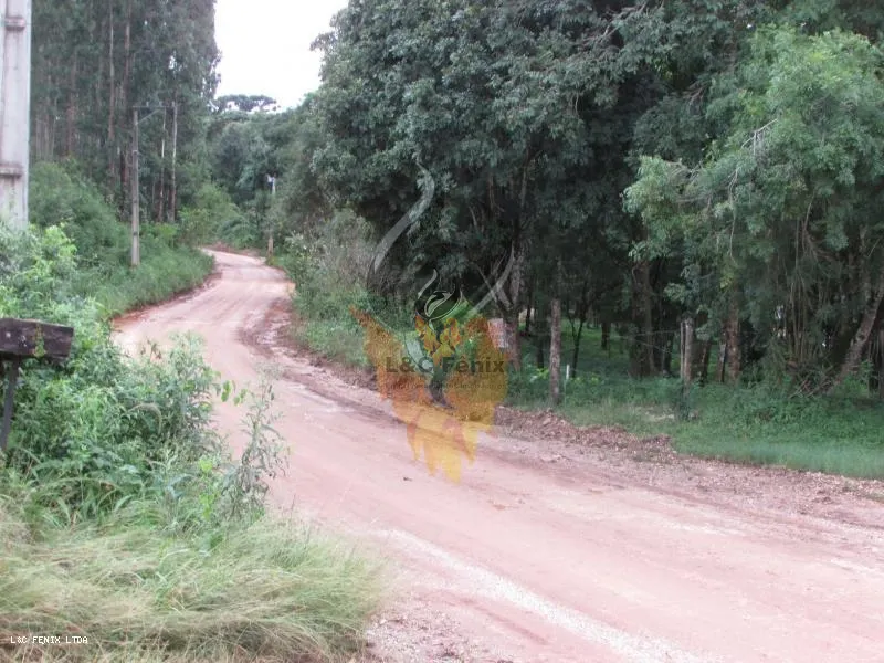 Terreno para Venda em Colombo / PR no bairro Das Graças: 10ª foto da galeria de imagens do imóvel