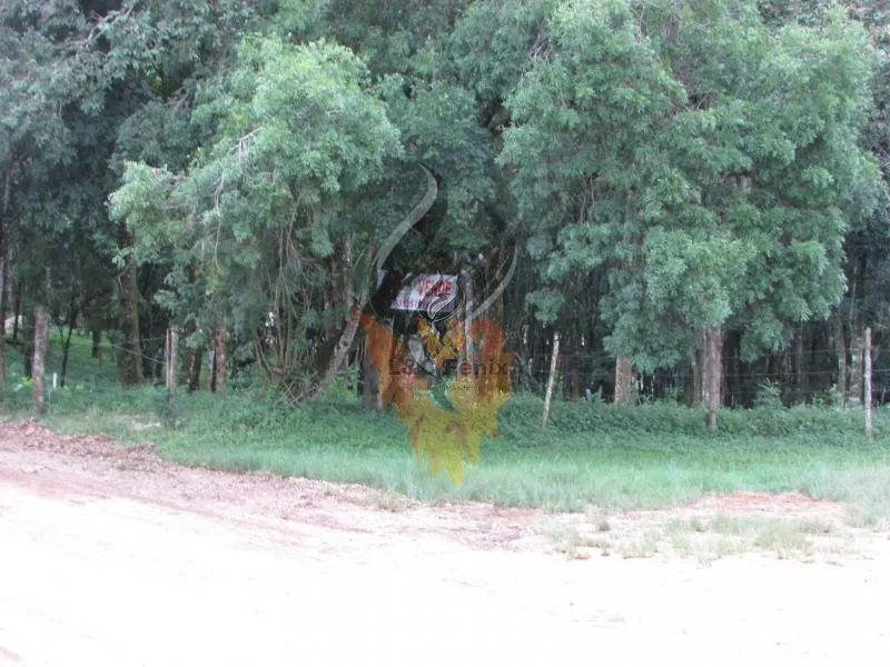 Terreno para Venda em Colombo / PR no bairro Das Graças: 9ª foto da galeria de imagens do imóvel
