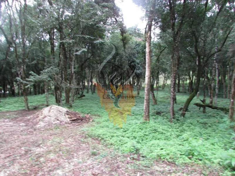 Terreno para Venda em Colombo / PR no bairro Das Graças: 7ª foto da galeria de imagens do imóvel