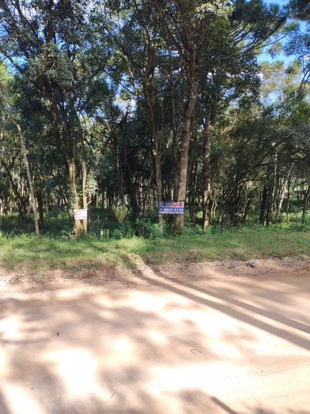 Terreno para Venda em Colombo / PR no bairro Das Graças: 39ª foto da galeria de imagens do imóvel