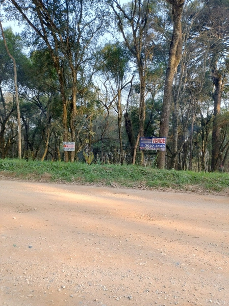 Terreno para Venda em Colombo / PR no bairro Das Graças: 41ª foto da galeria de imagens do imóvel