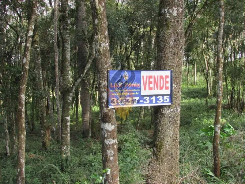Terreno para Venda em Colombo / PR no bairro Das Graças: 22ª foto da galeria de imagens do imóvel