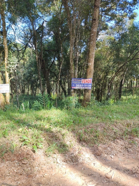 Terreno para Venda em Colombo / PR no bairro Das Graças: 34ª foto da galeria de imagens do imóvel