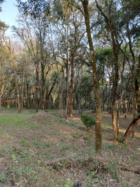 Terreno para Venda em Colombo / PR no bairro Das Graças: 45ª foto da galeria de imagens do imóvel
