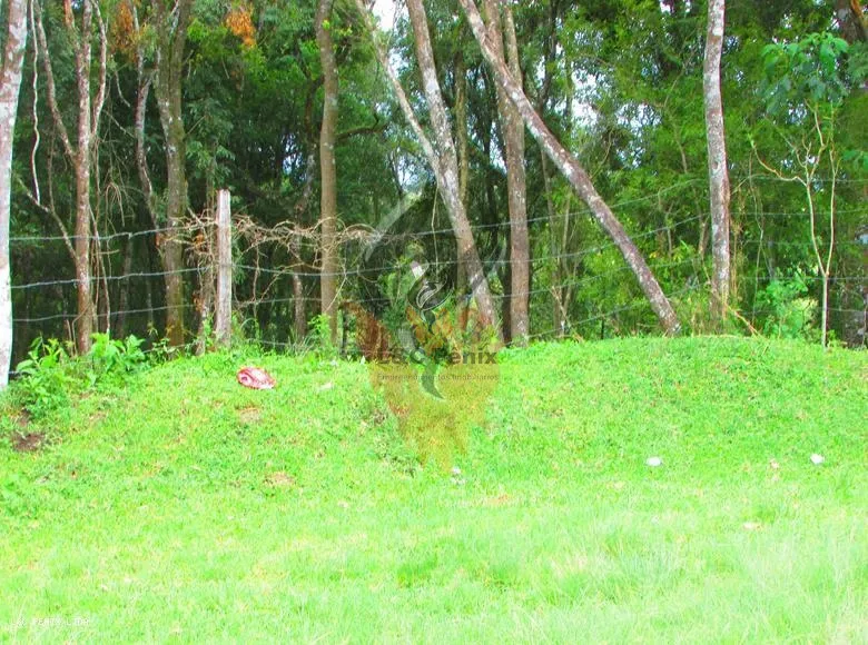 Terreno para Venda em Colombo / PR no bairro Das Graças: 13ª foto da galeria de imagens do imóvel