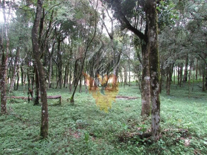 Terreno para Venda em Colombo / PR no bairro Das Graças: 5ª foto da galeria de imagens do imóvel