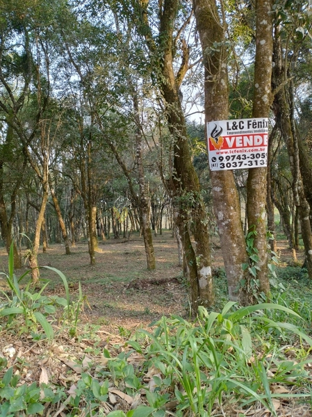 Terreno para Venda em Colombo / PR no bairro Das Graças: 44ª foto da galeria de imagens do imóvel