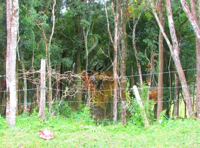 Terreno para Venda em Colombo / PR no bairro Das Graças: 12ª foto da galeria de imagens do imóvel