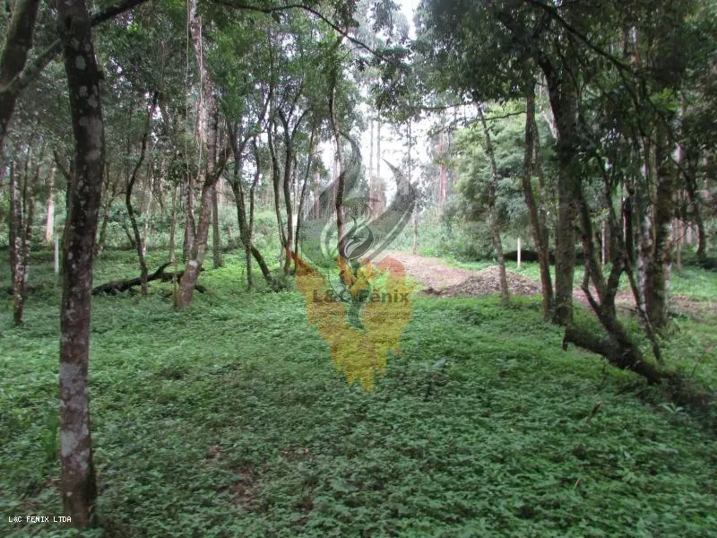 Terreno para Venda em Colombo / PR no bairro Das Graças: 4ª foto da galeria de imagens do imóvel
