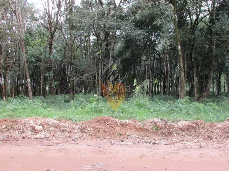 Terreno para Venda em Colombo / PR no bairro Das Graças: 19ª foto da galeria de imagens do imóvel