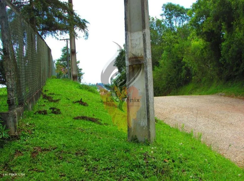 Terreno para Venda em Colombo / PR no bairro Das Graças: 15ª foto da galeria de imagens do imóvel