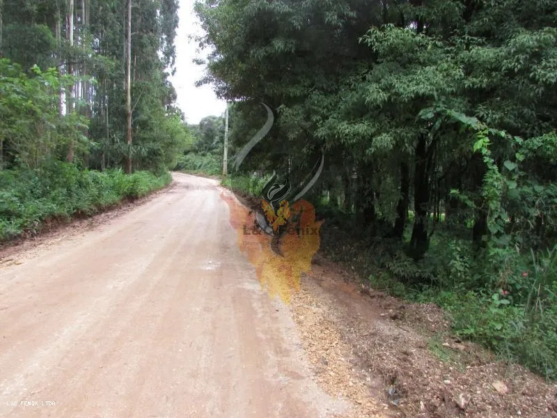 Terreno para Venda em Colombo / PR no bairro Das Graças: 8ª foto da galeria de imagens do imóvel