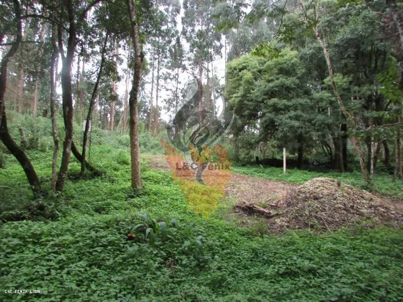 Terreno para Venda em Colombo / PR no bairro Das Graças: 6ª foto da galeria de imagens do imóvel