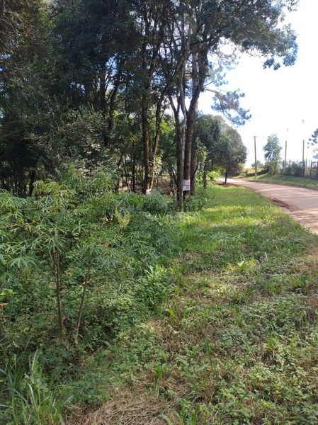 Terreno para Venda em Colombo / PR no bairro Das Graças: 33ª foto da galeria de imagens do imóvel