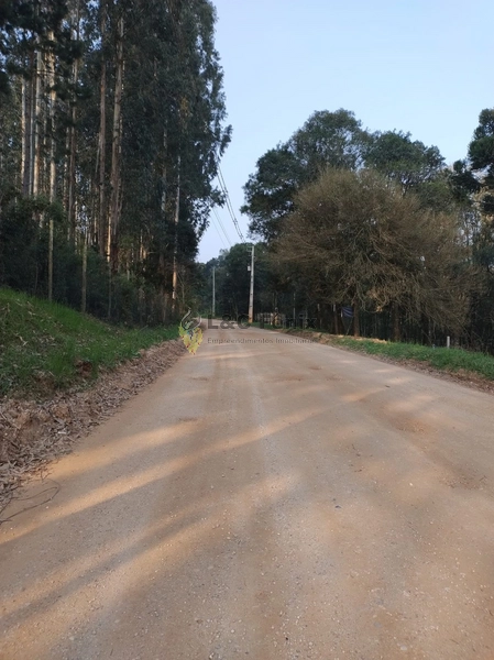 Terreno para Venda em Colombo / PR no bairro Das Graças: 43ª foto da galeria de imagens do imóvel