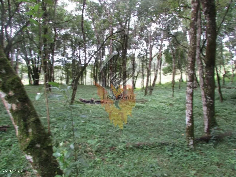 Terreno para Venda em Colombo / PR no bairro Das Graças: 3ª foto da galeria de imagens do imóvel