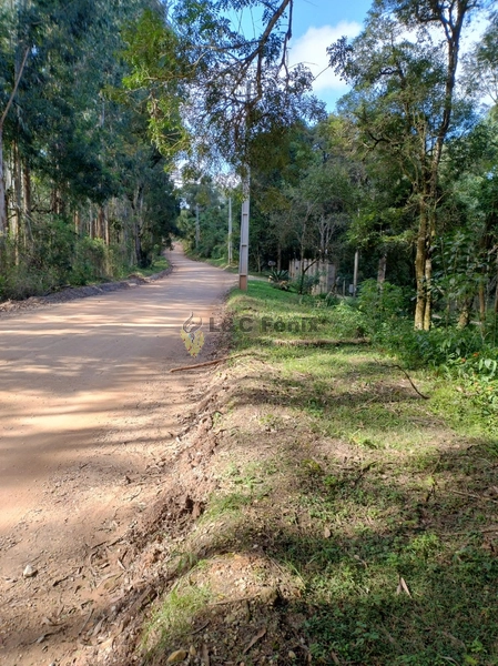 Terreno para Venda em Colombo / PR no bairro Das Graças: 28ª foto da galeria de imagens do imóvel