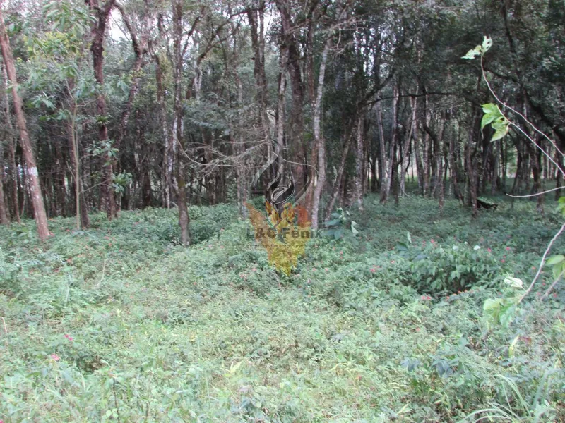 Terreno para Venda em Colombo / PR no bairro Das Graças: 21ª foto da galeria de imagens do imóvel