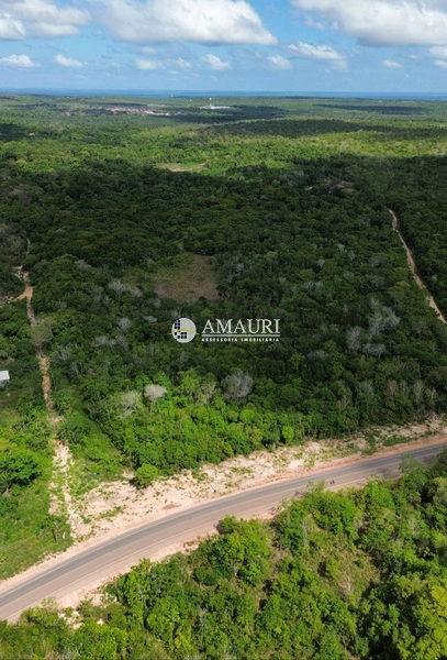 PROPRIEDADE PARA INVESTIDORES ESTRADA DE ALTER: 2ª foto da galeria de imagens do imóvel