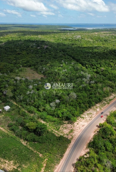 PROPRIEDADE PARA INVESTIDORES ESTRADA DE ALTER: 3ª foto da galeria de imagens do imóvel