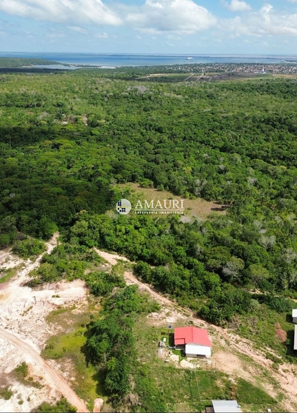 PROPRIEDADE PARA INVESTIDORES ESTRADA DE ALTER: 6ª foto da galeria de imagens do imóvel