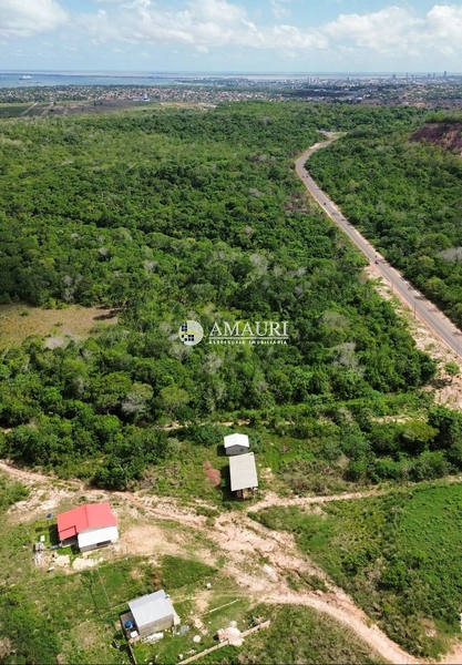 PROPRIEDADE PARA INVESTIDORES ESTRADA DE ALTER: 7ª foto da galeria de imagens do imóvel