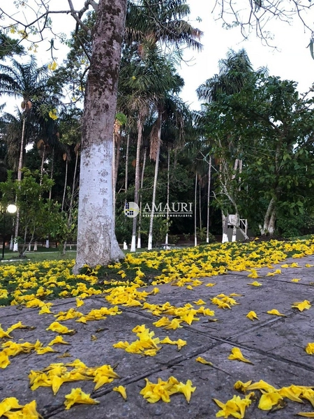 Chácara a Venda em Santarém: 3ª foto da galeria de imagens do imóvel