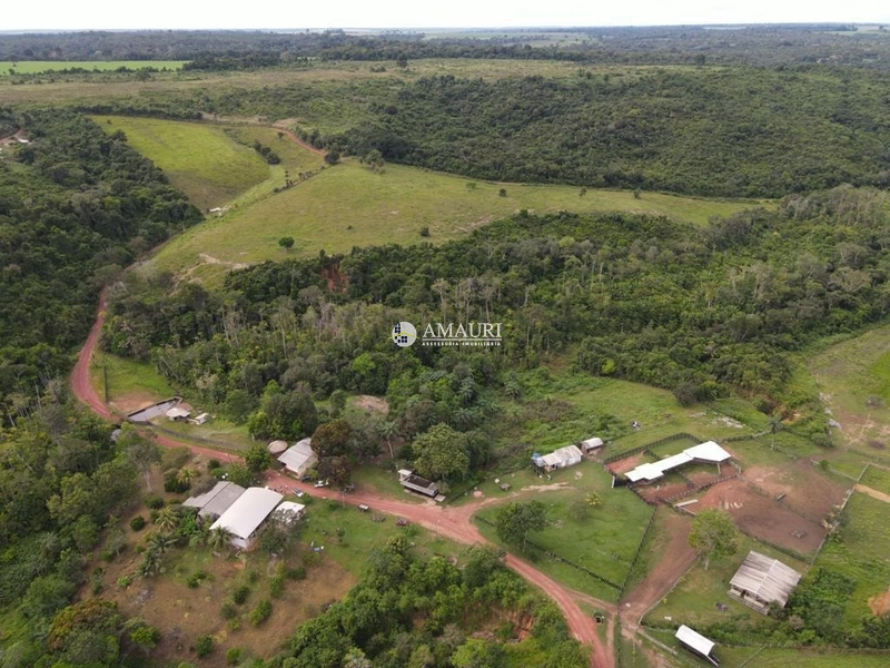 Linda Fazenda de Pecuária e Fruticultura: 7ª foto da galeria de imagens do imóvel
