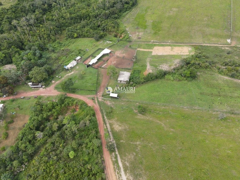 Linda Fazenda de Pecuária e Fruticultura: 6ª foto da galeria de imagens do imóvel