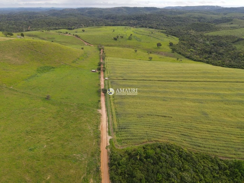 Linda Fazenda de Pecuária e Fruticultura: 4ª foto da galeria de imagens do imóvel