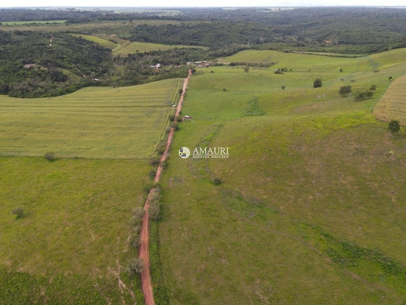 Linda Fazenda de Pecuária e Fruticultura: 2ª foto da galeria de imagens do imóvel