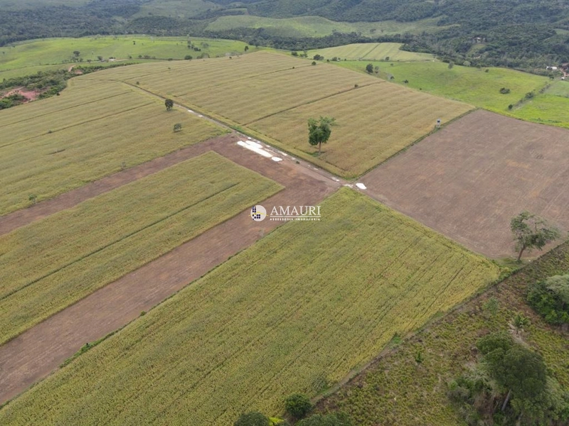 Linda Fazenda de Pecuária e Fruticultura: 5ª foto da galeria de imagens do imóvel
