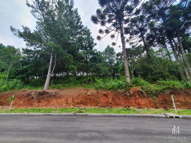 Terreno no Marsal em Gramado: 2ª foto da galeria de imagens do imóvel
