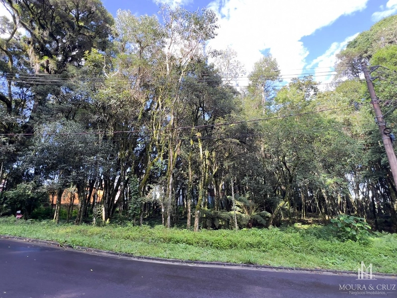 Terreno no Vivendas do Parque em Gramado: 1ª foto da galeria de imagens do imóvel