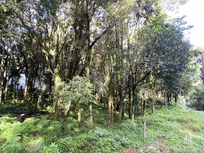 Terreno no Vivendas do Parque em Gramado: 2ª foto da galeria de imagens do imóvel