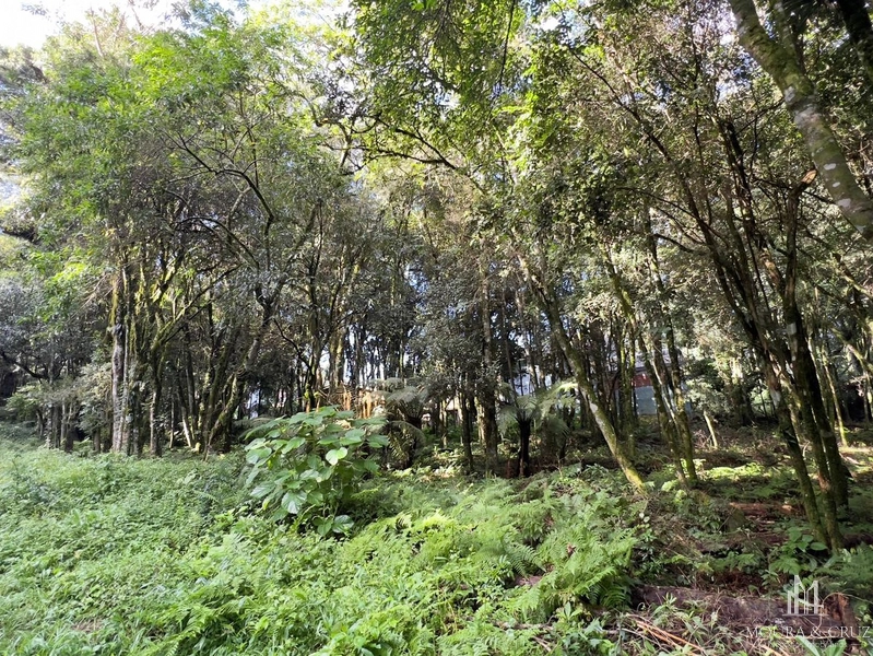 Terreno no Vivendas do Parque em Gramado: 3ª foto da galeria de imagens do imóvel