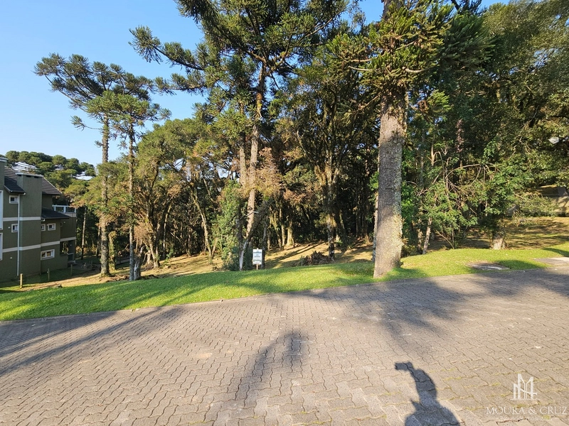 Terreno no Condomínio Altos Pinheiros em Canela: 1ª foto da galeria de imagens do imóvel