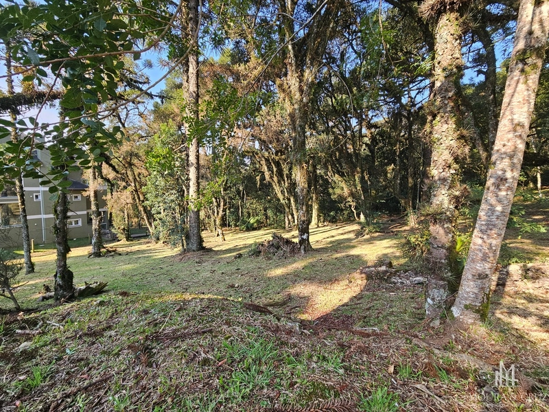 Terreno no Condomínio Altos Pinheiros em Canela: 2ª foto da galeria de imagens do imóvel