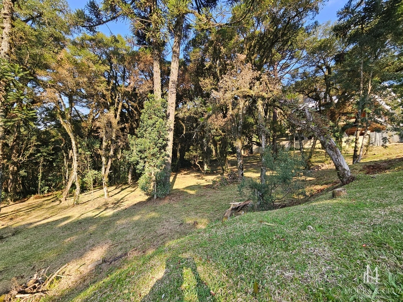 Terreno no Condomínio Altos Pinheiros em Canela: 3ª foto da galeria de imagens do imóvel