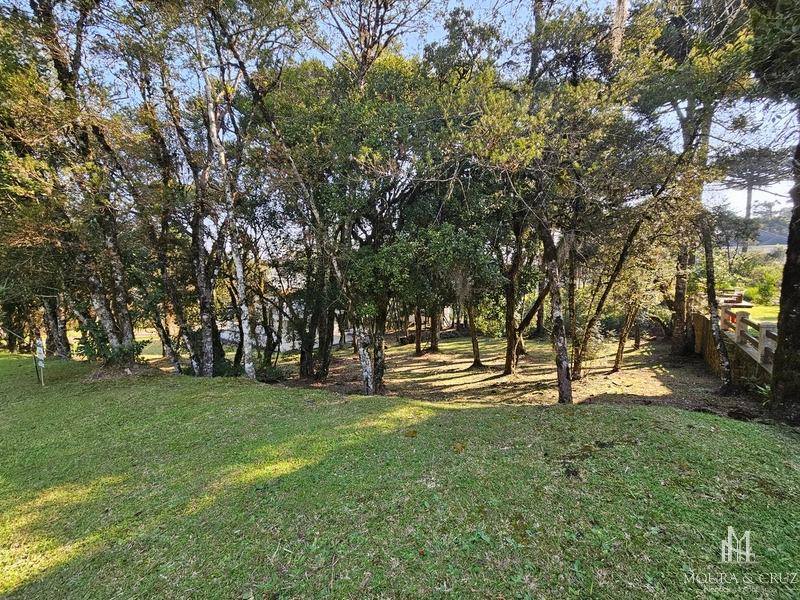Terreno no Condomínio Altos Pinheiros em Canela: 3ª foto da galeria de imagens do imóvel