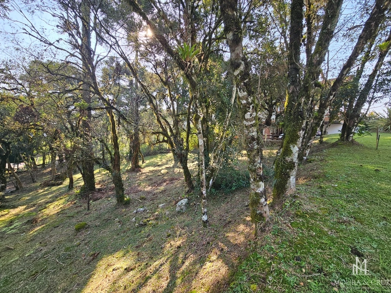 Terreno no Condomínio Altos Pinheiros em Canela: 4ª foto da galeria de imagens do imóvel