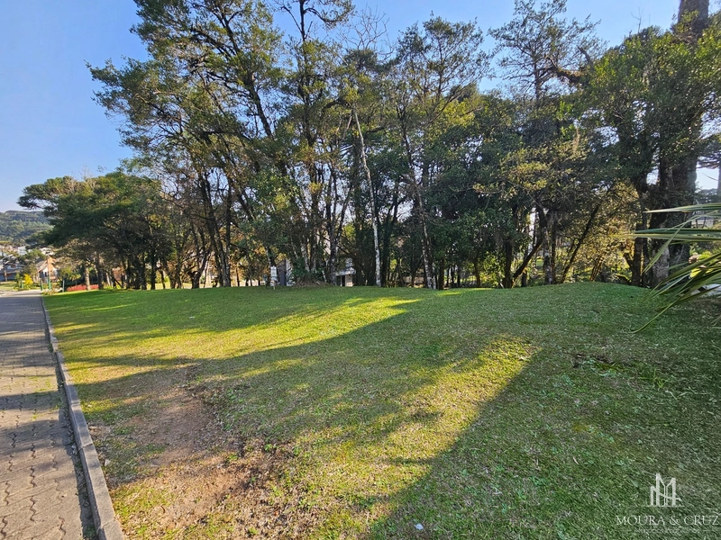 Terreno no Condomínio Altos Pinheiros em Canela: 2ª foto da galeria de imagens do imóvel