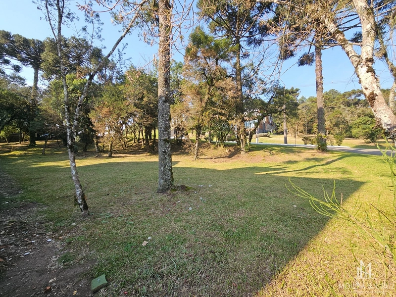 Terreno no Condomínio Altos Pinheiros em Canela: 2ª foto da galeria de imagens do imóvel
