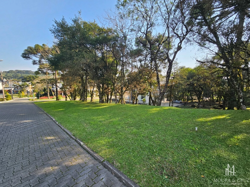 Terreno no Condomínio Altos Pinheiros em Canela: 5ª foto da galeria de imagens do imóvel