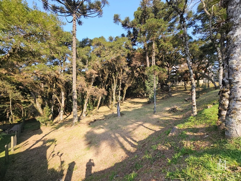 Terreno no Condomínio Altos Pinheiros em Canela: 1ª foto da galeria de imagens do imóvel