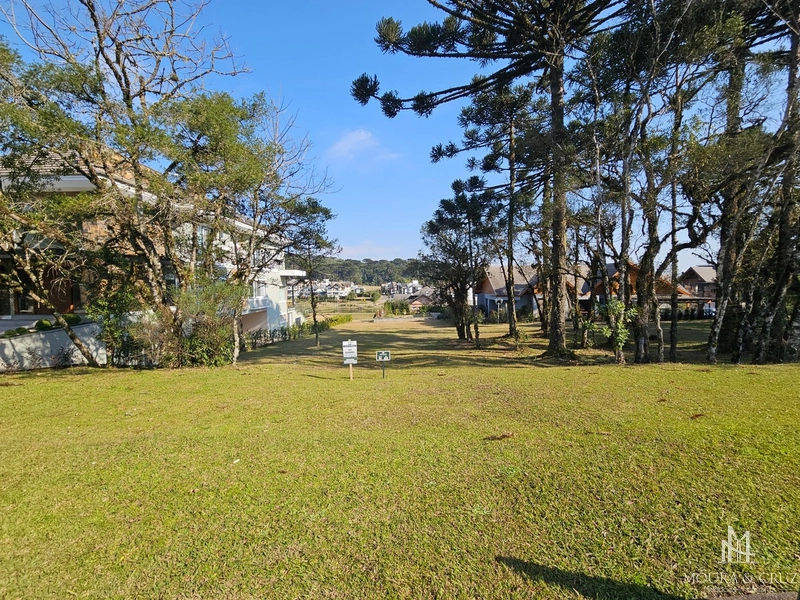 Terreno no Condomínio Altos Pinheiros em Canela: 1ª foto da galeria de imagens do imóvel