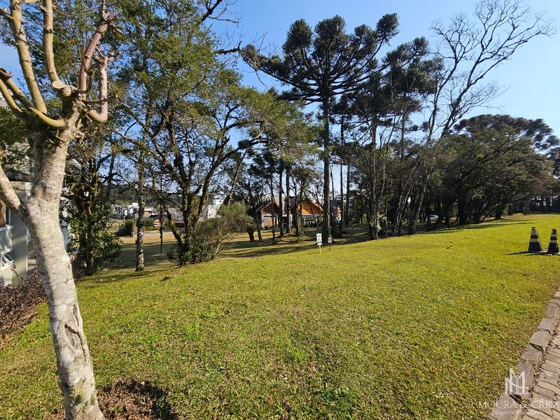 Terreno no Condomínio Altos Pinheiros em Canela: 3ª foto da galeria de imagens do imóvel